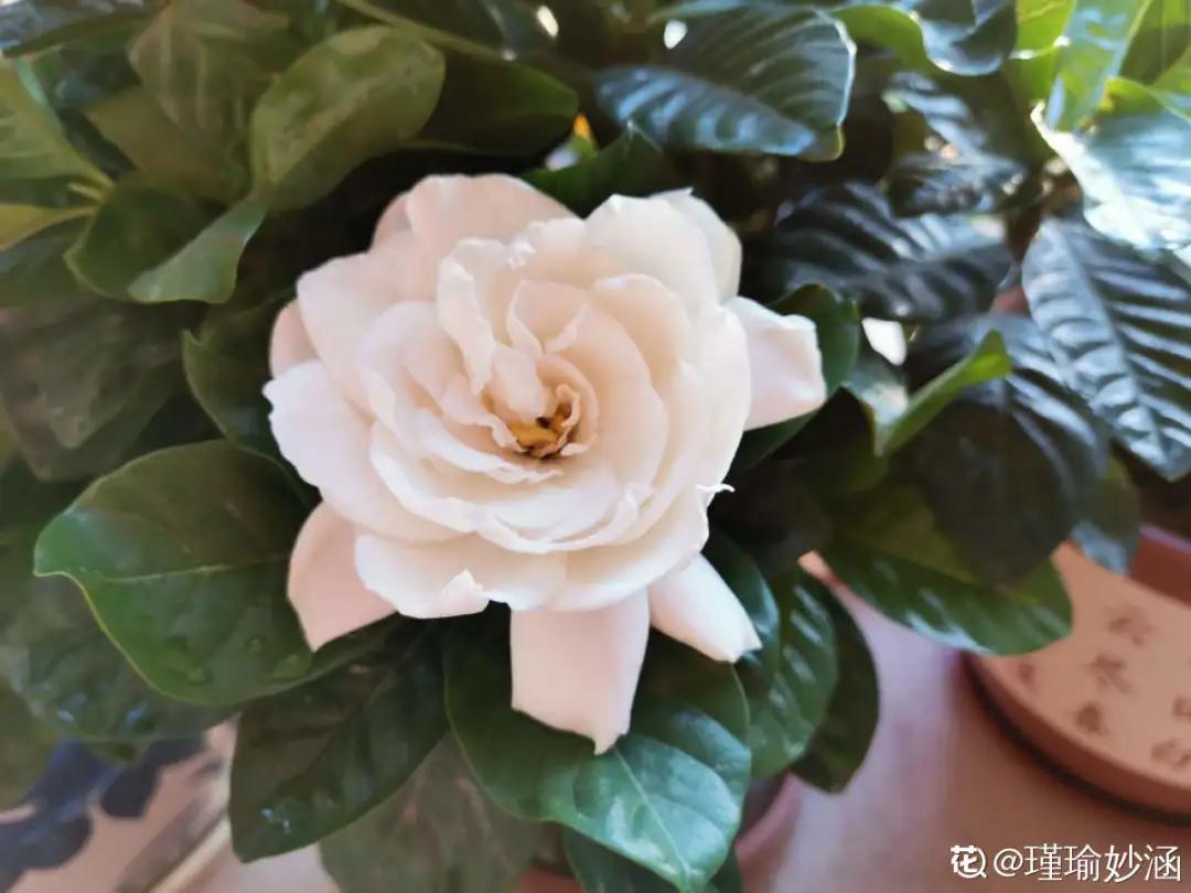 教你如何避开假货买到真品,一张图告诉你怎样分辨假货