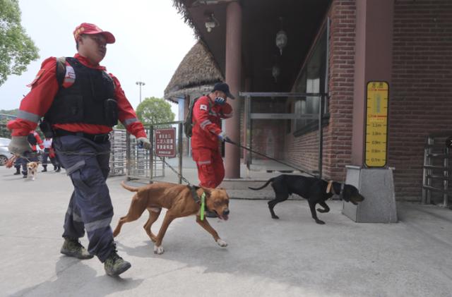 花豹猎豹美洲豹金钱豹鳄鱼,只有花豹才是真正的豹子