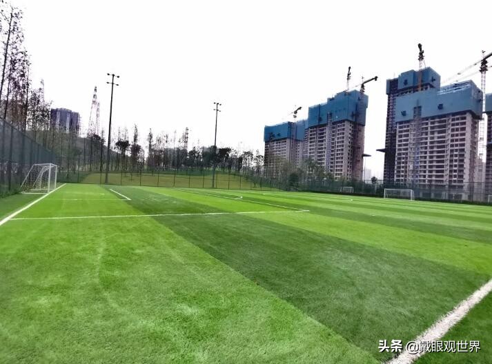溉澜溪体育公园现在还有花吗,重庆溉澜溪体育公园足球场