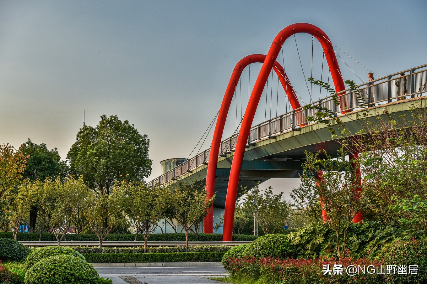 江苏南京:明明可以靠网红上头条,却偏偏靠实力说话