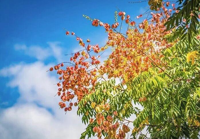 绉嬫棩绗旇鐩存挱,绉嬫棩绗旇