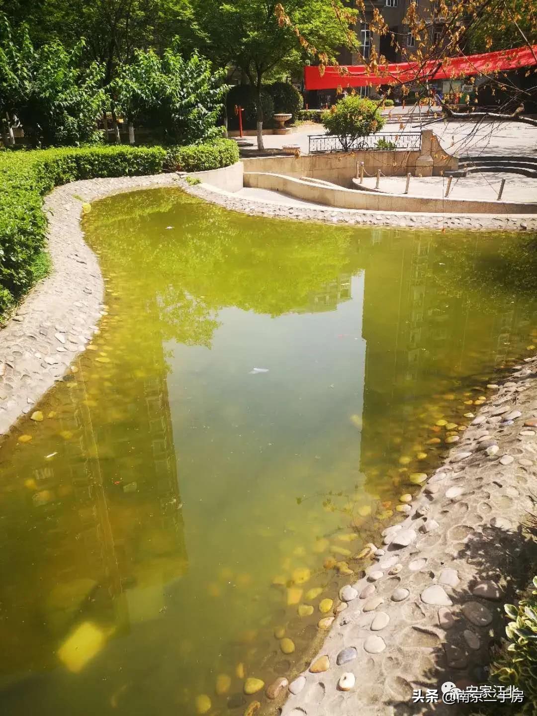 小区环境好价格低的二手房,小区位置好但物业差值得买吗