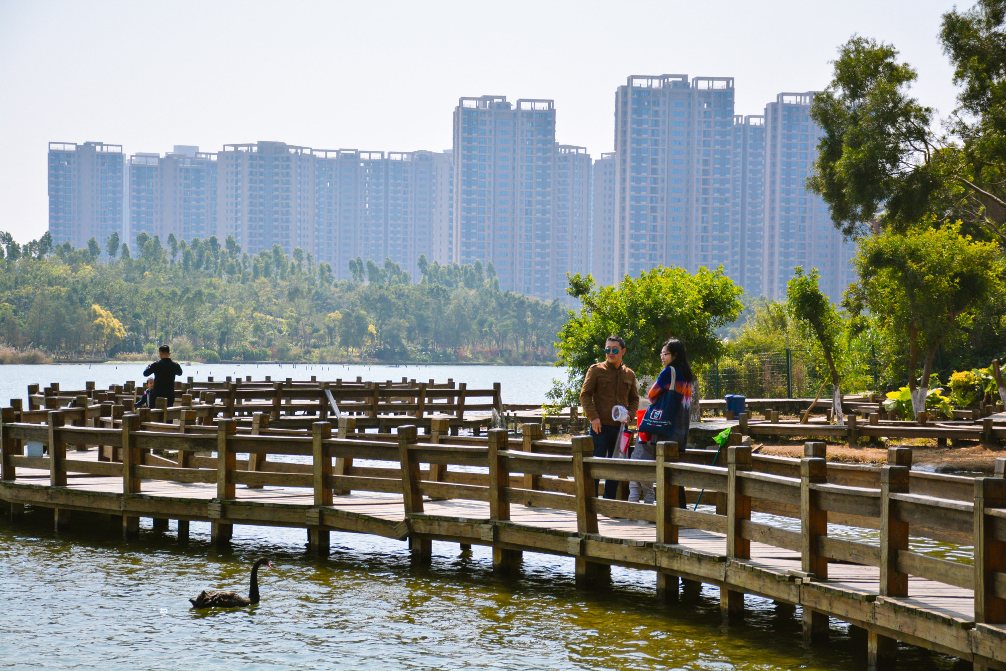 厦门春节期间景点免费有哪些地方,带娃厦门旅游三天攻略景区