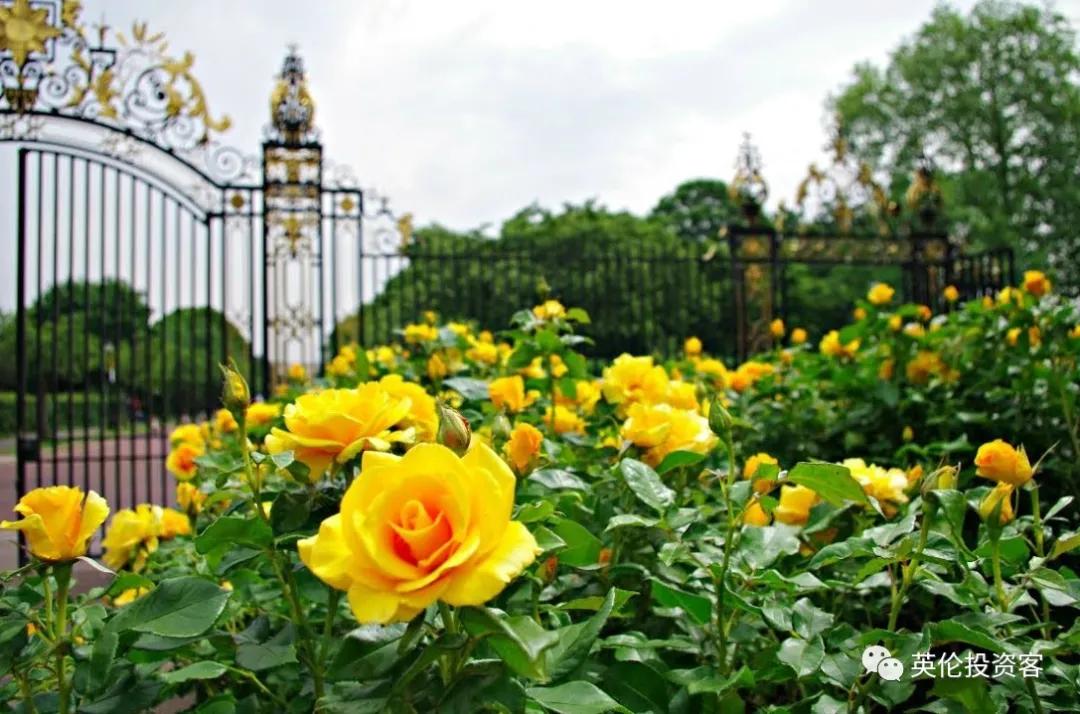 英国伦敦肯辛顿公园,伦敦富人区小众公园