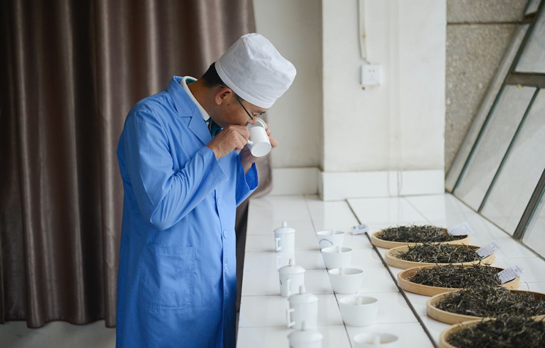 勐库戎氏博君熟茶,勐库戎氏博君生茶评价