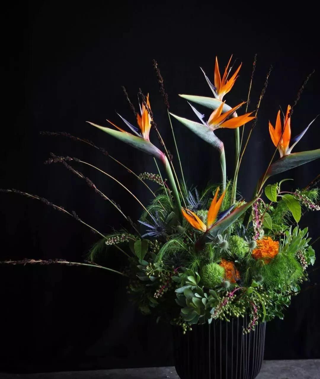 花材不剪枝如何养护,花材不用换水养护方法大全