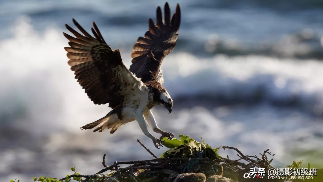 索尼a7r4配合hvl-f32m闪光灯测评 (索尼a7r4与佳能eosr6参数)