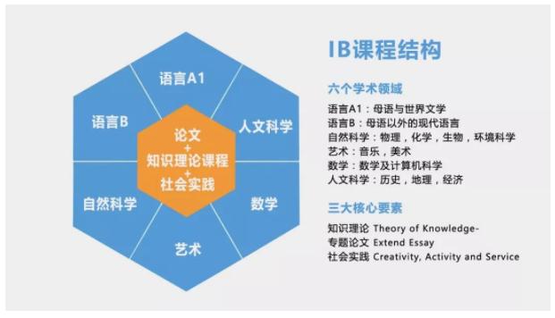 魔都IB三校世外/平和/交附/七德对照比较,在读生细说真实感受