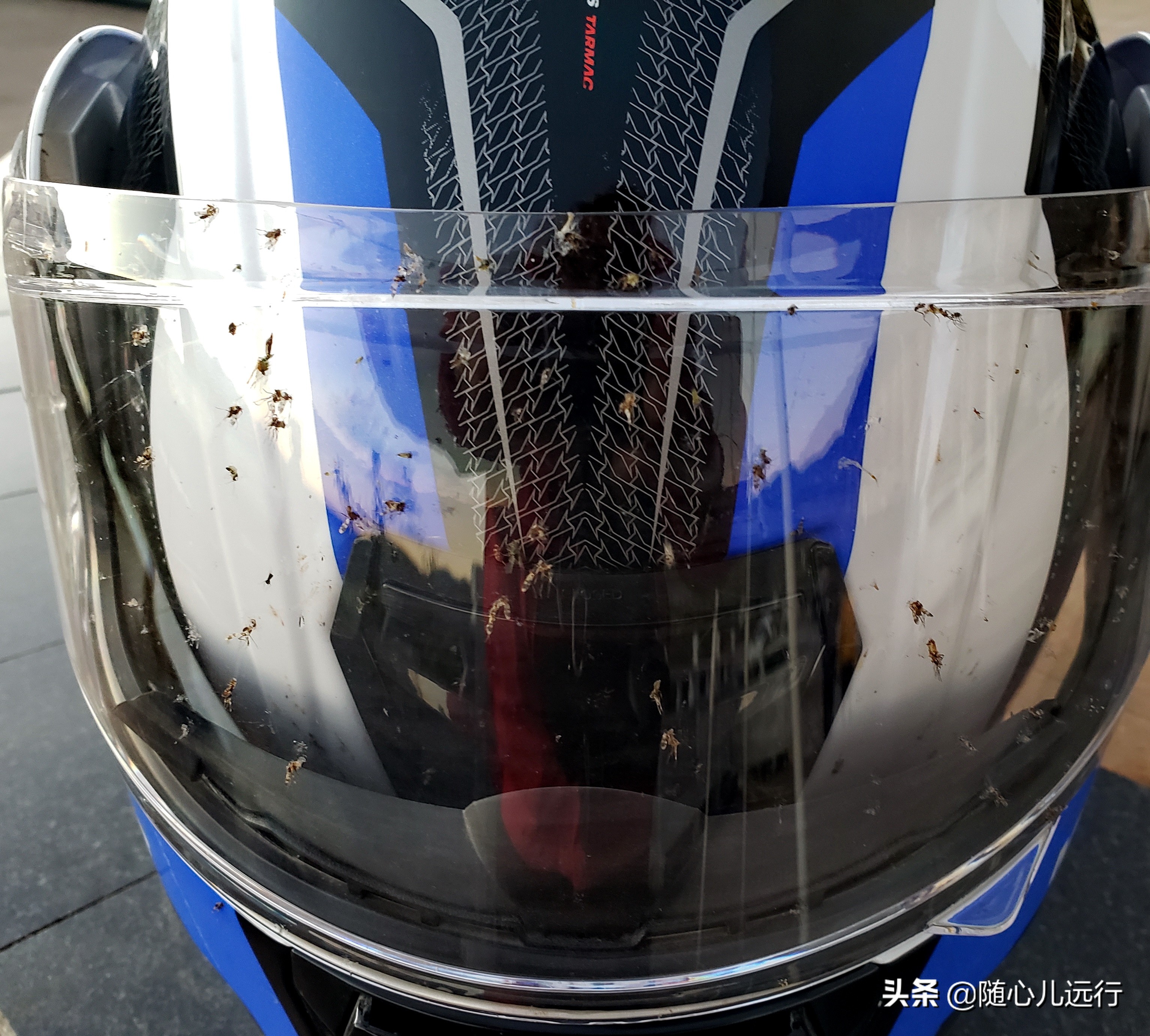 昆明大理丽江古城,从丽江到大理一天往返时间够吗