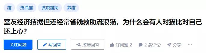 救助流浪猫的都是哪些人,救助了流浪猫没出钱被骂了