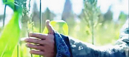 窝家里舔屏“一顾惜朝误终身，不顾惜朝终身误”