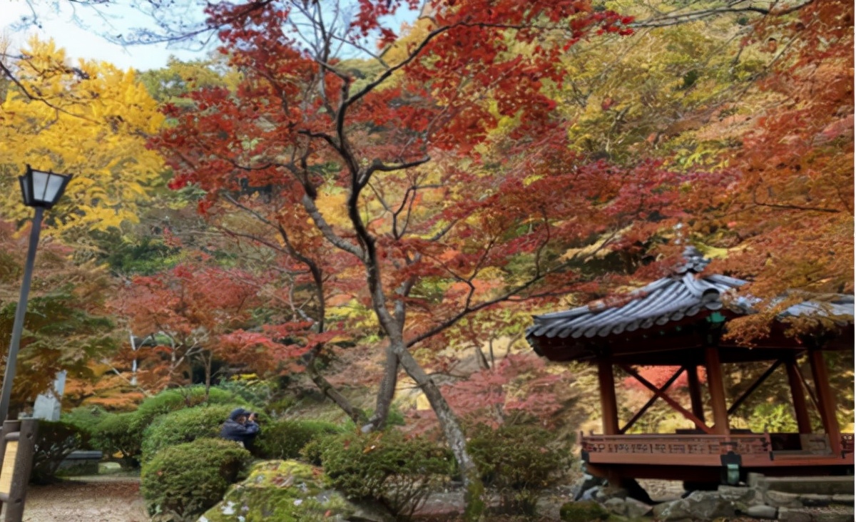 柠檬日本大学巡礼|山口大学申请条件及学费大解析