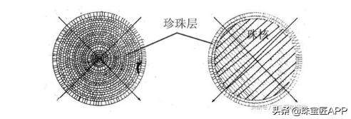 真正天然珍珠是怎样的,天然珍珠和仿制珍珠的区别