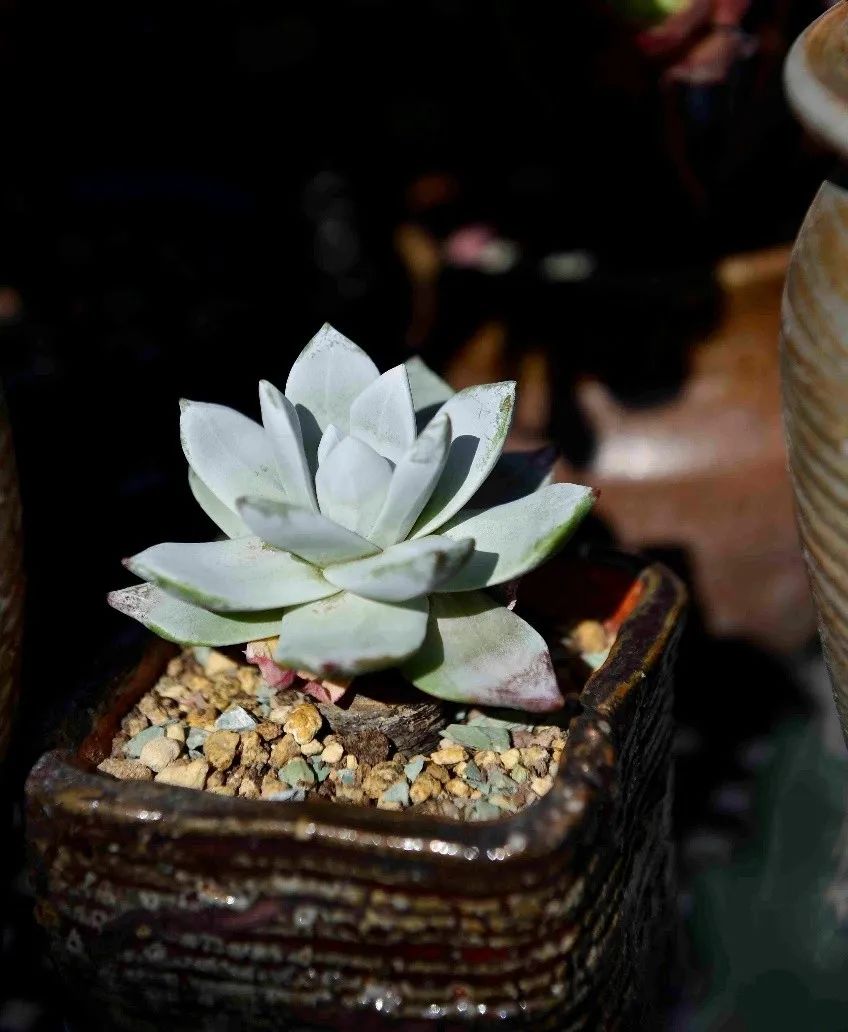 禁足的日子收获颇多,禁足