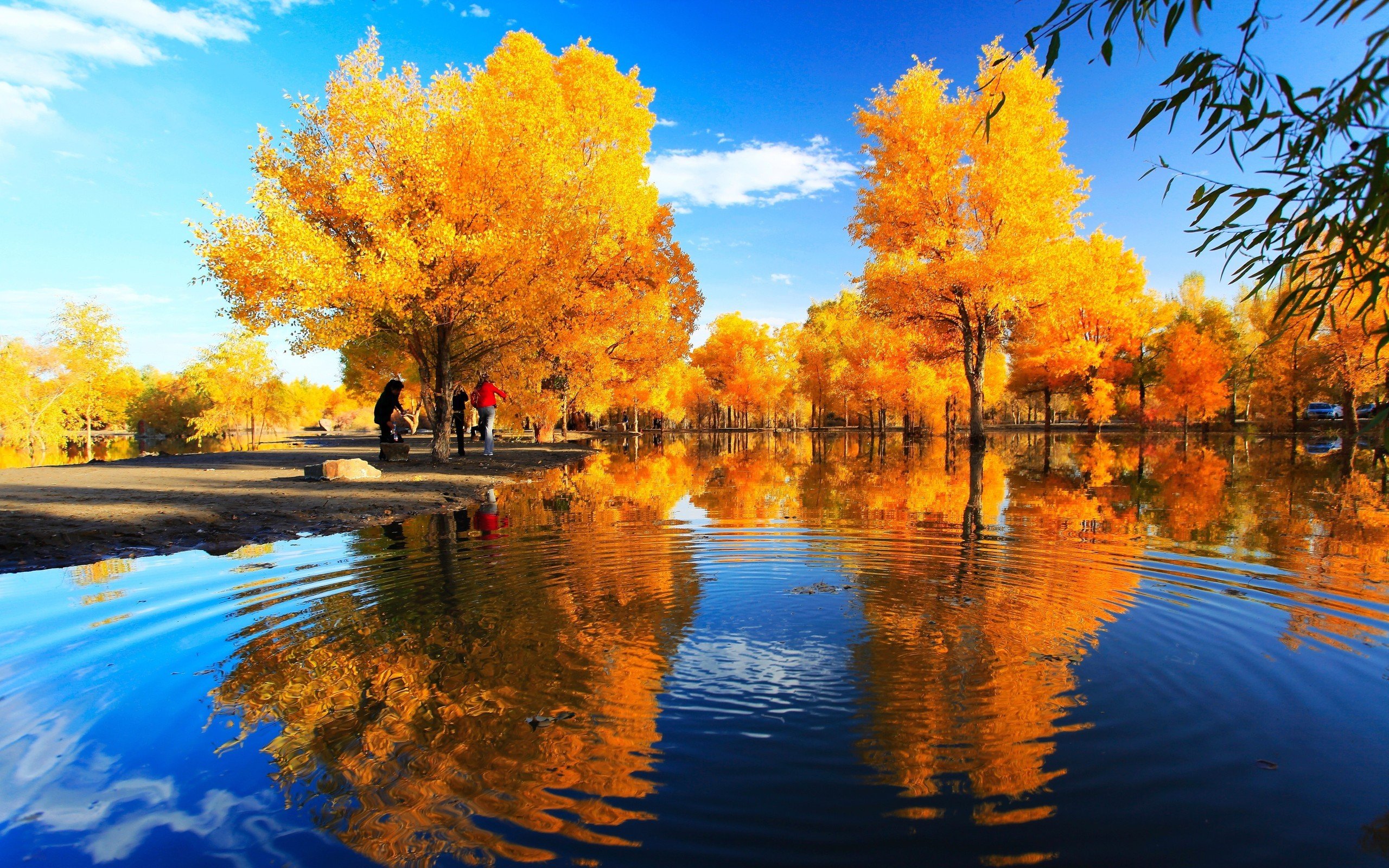 运20超清壁纸1920x1080原图,高清电脑壁纸1920x1080海贼王