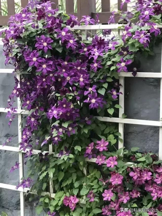 庭院景观设计——这样的庭院景观，生活可以过成诗一般！