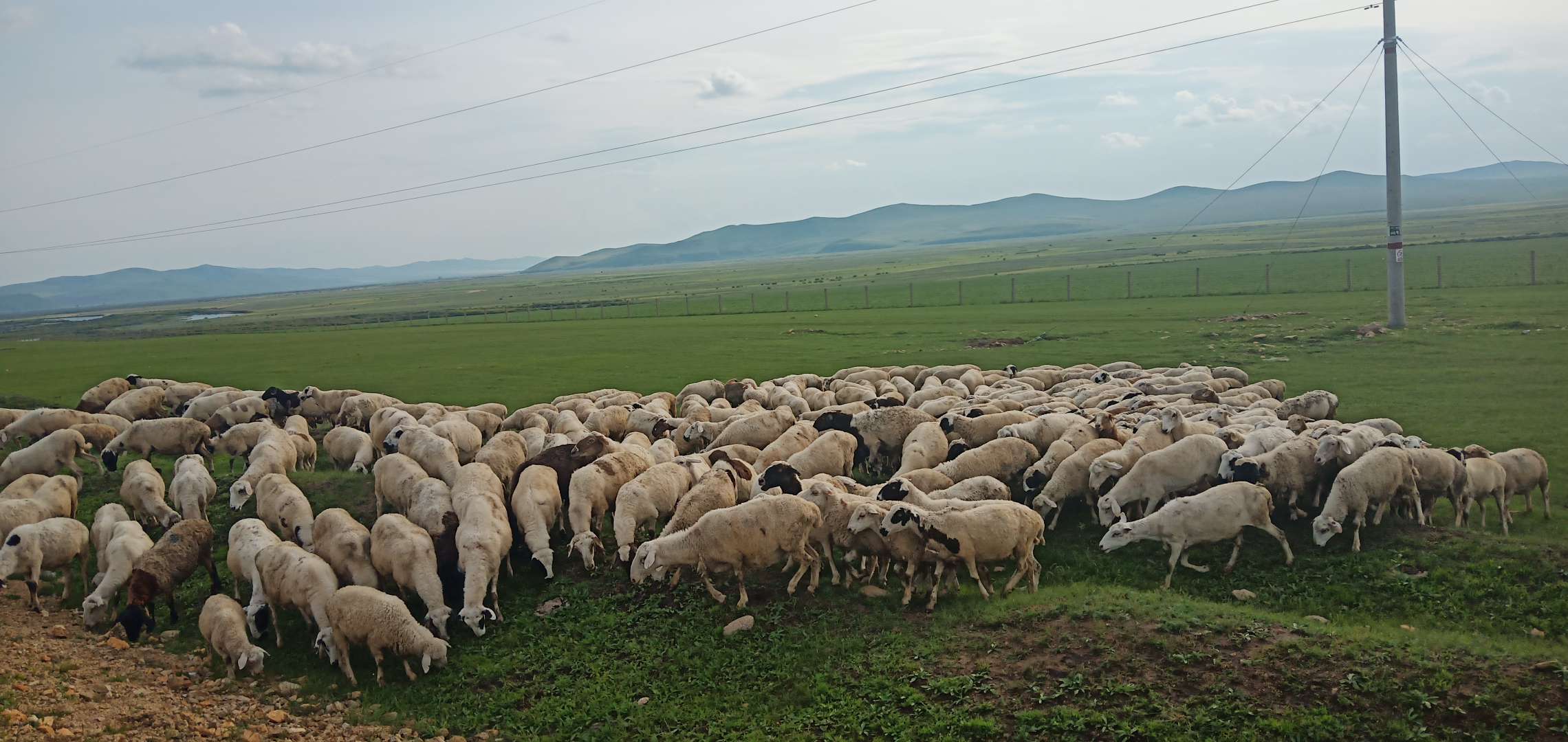 蒙乡行思记全文 (蒙乡行思)