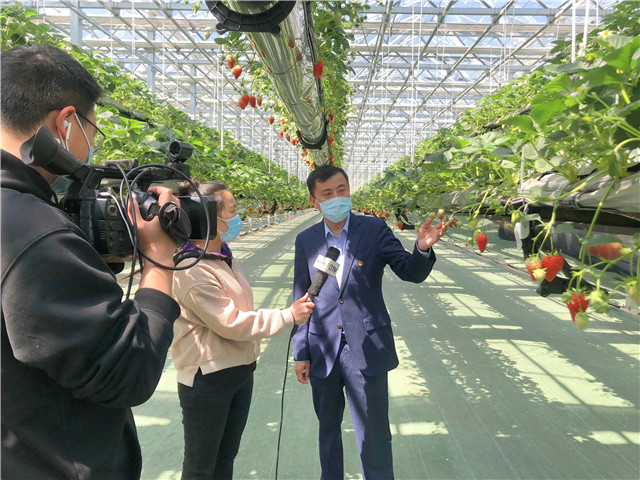 青岛市文旅大项目,青岛文旅创意项目