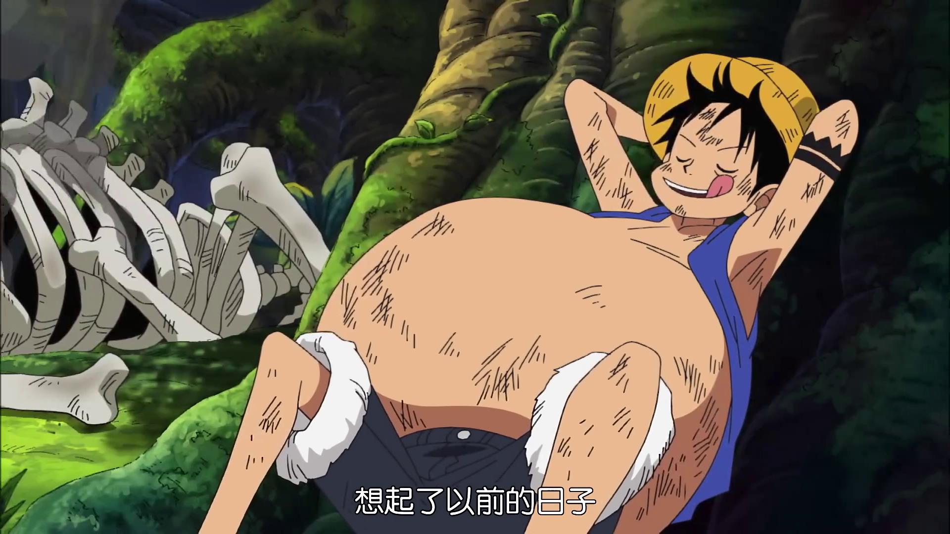 海贼王五种特殊治愈能力,海贼王最强治疗