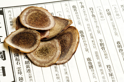 炖鹿茸吃要禁忌什么食物,鹿茸的功效与作用与禁忌