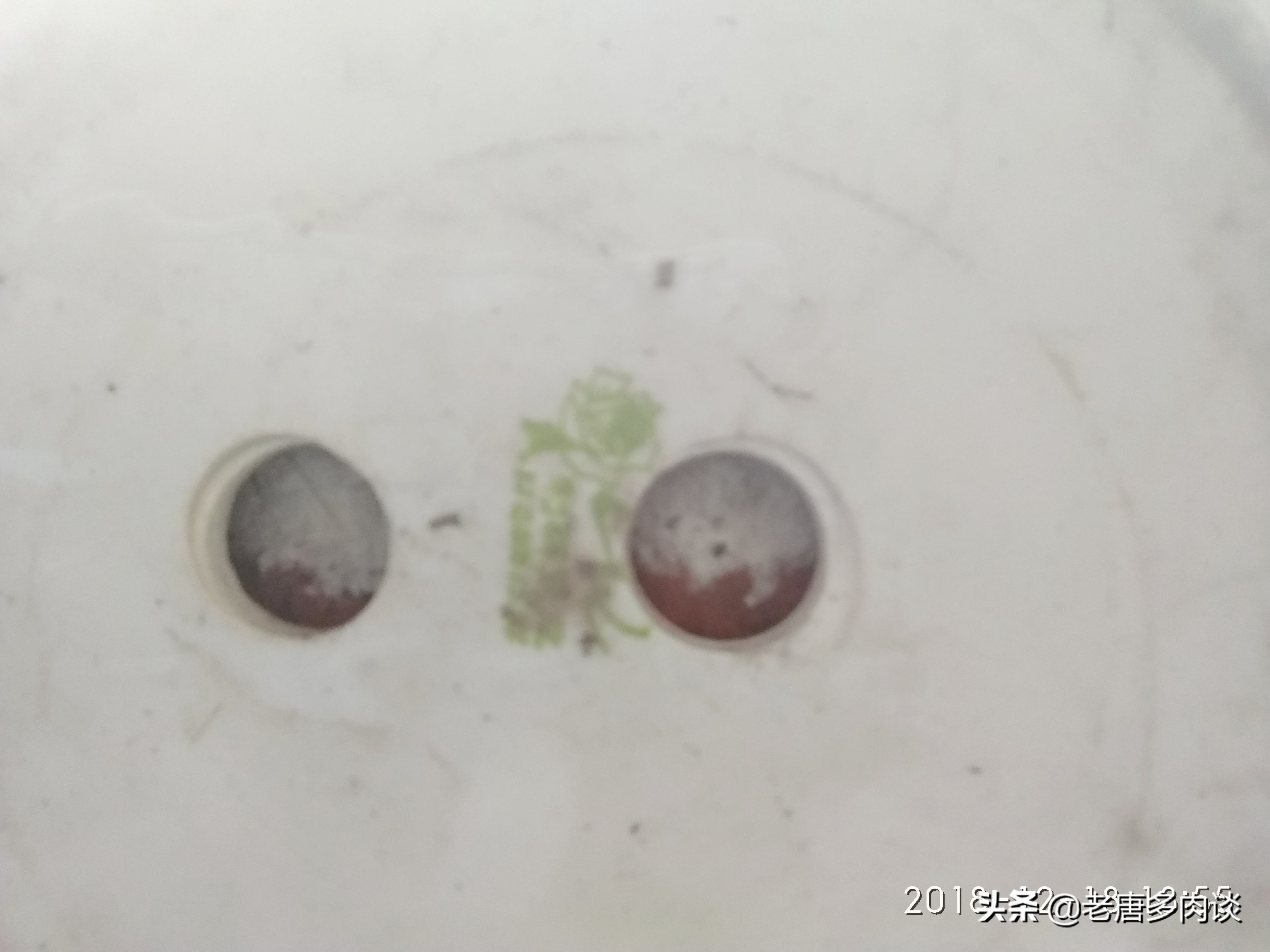 无孔陶瓷盆可以种多肉吗,陶瓷盆底下没孔可以种蝴蝶兰吗