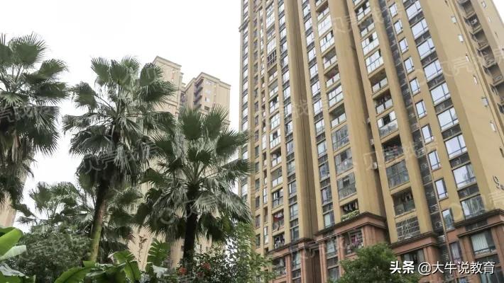 两江新区优质学区房来袭,未来发展了不起,快抢占优秀资源