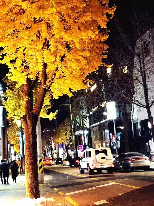 深圳这次入冬成功了吗,深圳终于进入了深秋的天气