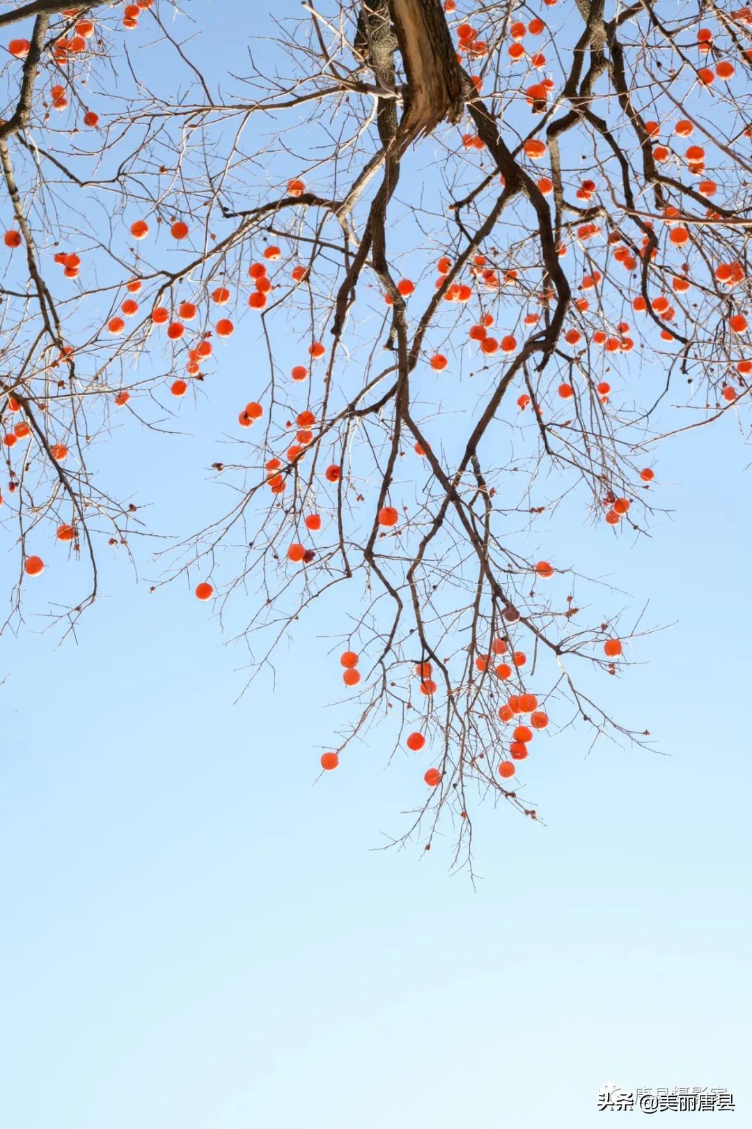 尧乡唐县,唐县自然风景区
