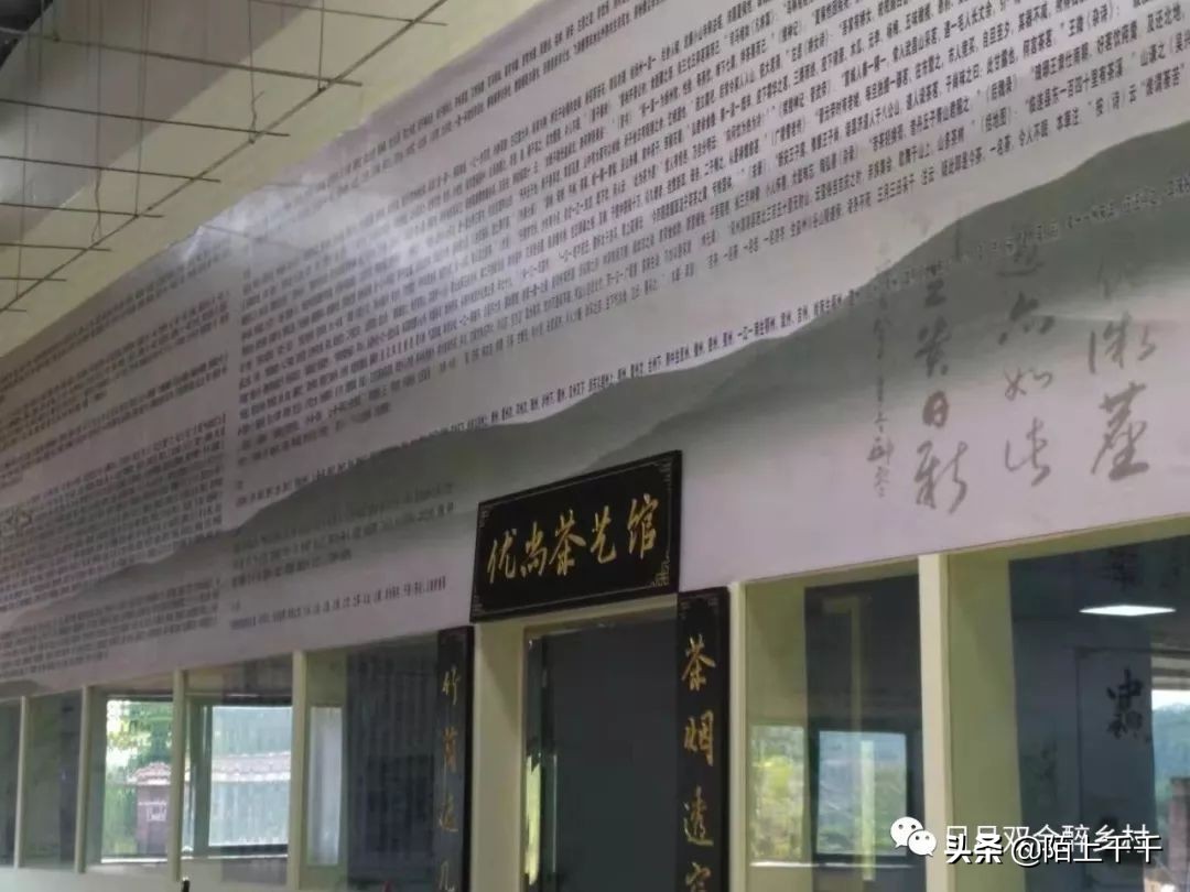 鹤山双好茶韵农耕研学基地值不值,江门茶文化研学基地