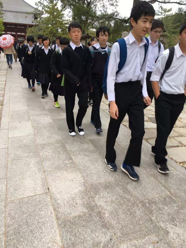 浪漫樱花日本进口,浪漫樱花2完整版