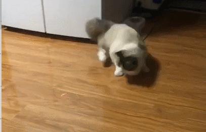 小米萤光卷尺,小米卷尺5米高精度