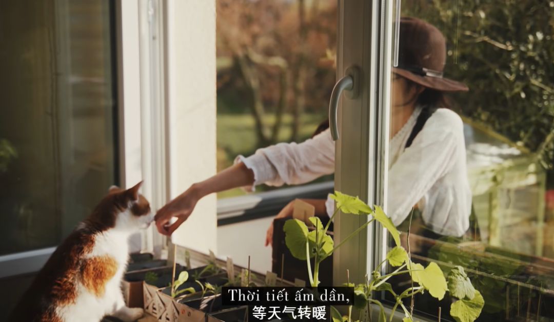 李子柒靠海外视频月入80万,德国版李子柒