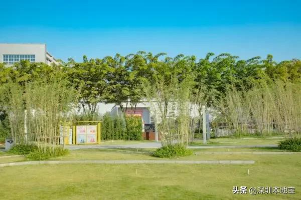 深圳完全免费的十大景点,深圳10大免费景点上集