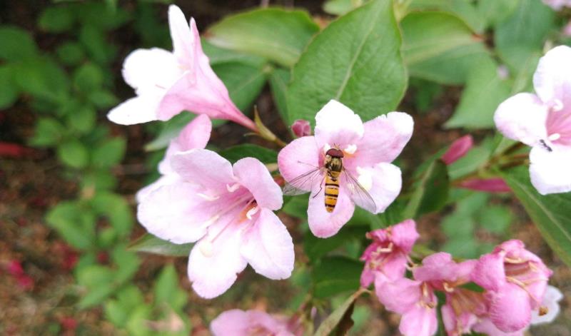 情商越高，直话越少：真正情商高的人，常用三种语言技巧，很委婉