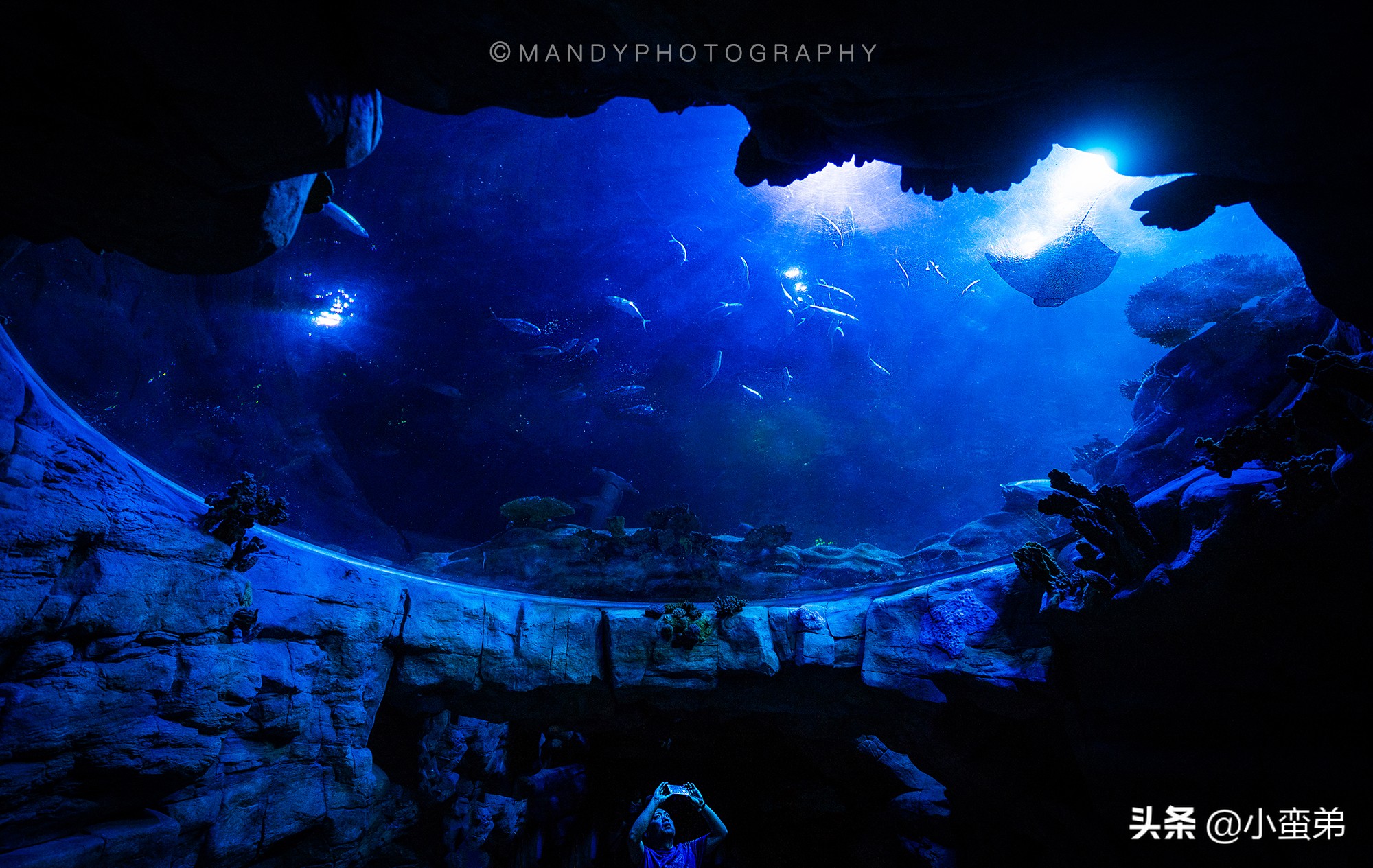 香港巡礼|是谁！敢拿水枪给20岁的海贼王庆生？