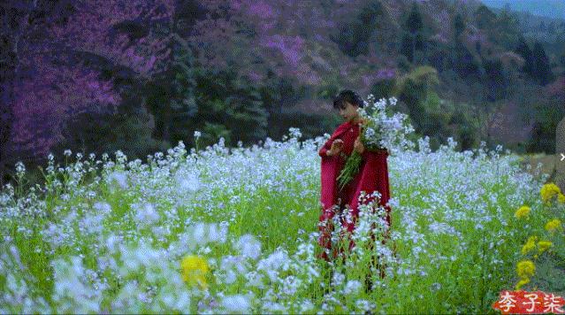 李子柒火了的视频,李子柒现身网红节却暴露真实颜值