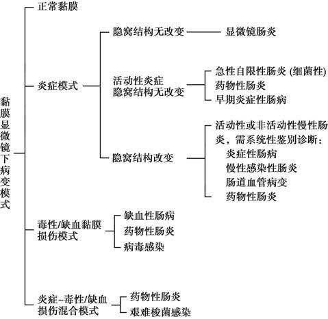 炎症性肠病要活检吗,炎症性肠病常见的病理改变有哪些