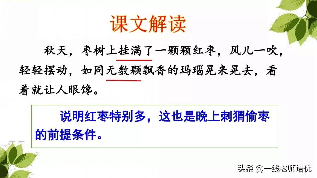 三年级语文带刺的朋友课堂笔记,带刺的朋友三年级上册