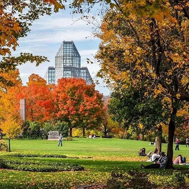 孩子，这才是我送你出国背后的真正用意