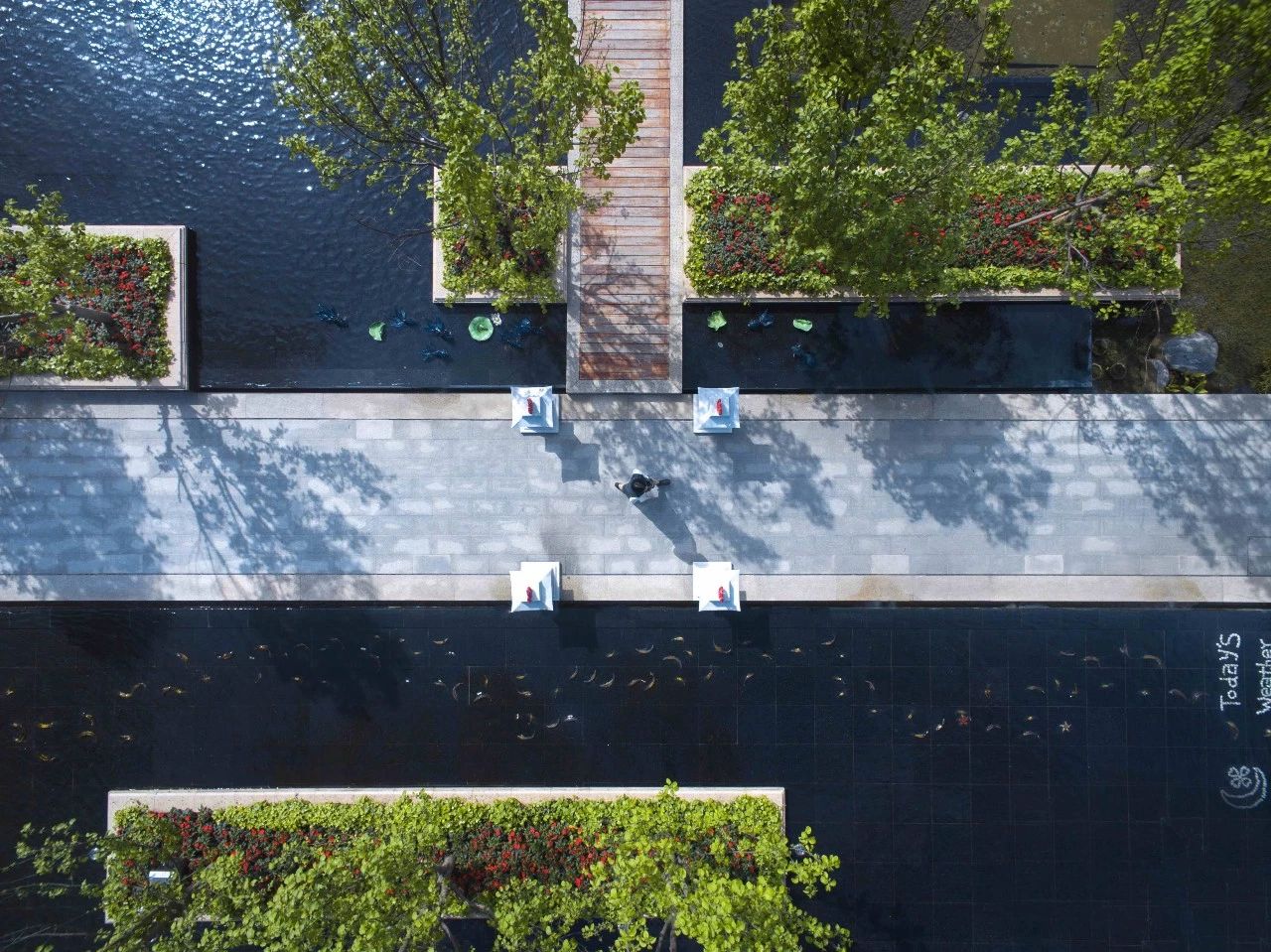 鎴愰兘澶╁簻鏂板尯涓痉楹撳簻,鎴愰兘澶╁簻鏂板尯涓痉楹撳簻鍏瘬