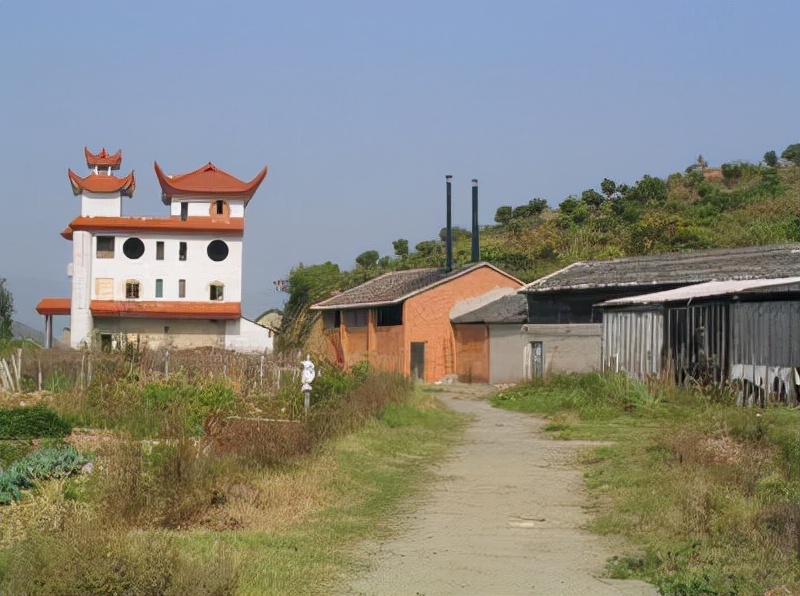 刘招华制毒案视频,刘招华制毒大案纪实