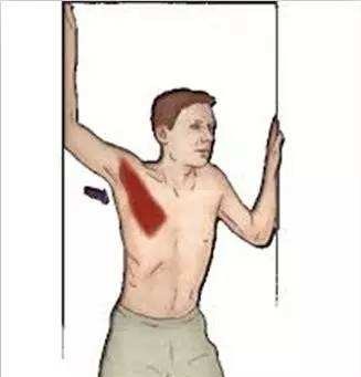 干货分享一周类的视频,干货分享每日一讲