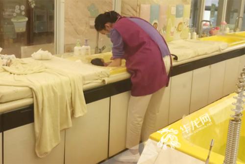 猪宝宝快出生,猪宝宝扎堆