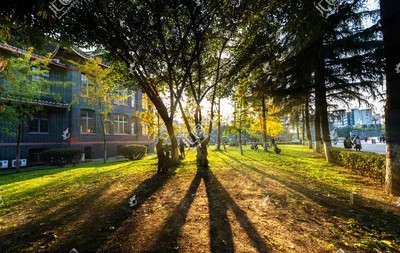 佳木斯医学院口腔医学在全国排名,口腔医学三甲医院排名
