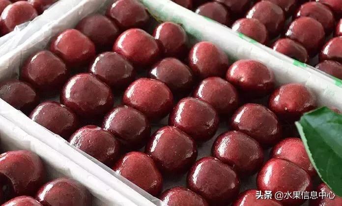 中国水果大全,中国水果大全图片和名字