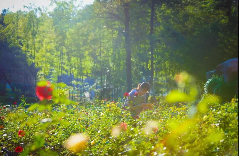 经律论温泉小镇门票,广东经律论温泉度假酒店