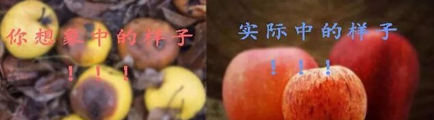 得了糜烂性胃炎需要注意什么,得了糜烂性胃炎吃什么药效果最好