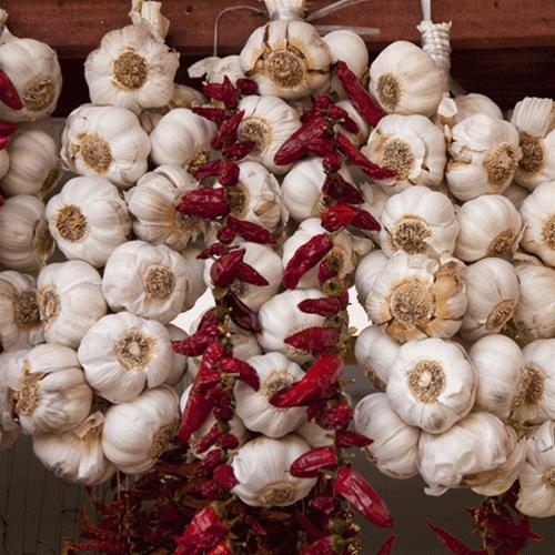 襄阳周末好去处,周末去哪里找乐趣