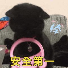 正规英国留学学校细则最新,英国留学哪个学校最安全