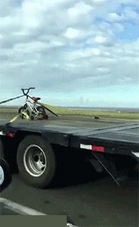 搞笑GIF开心一刻：姑娘你晚上睡觉，你要小心你家这只猫